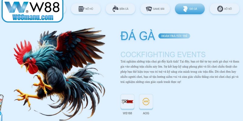 Nên đọc và hiểu kỹ lưỡng các điều khoản, điều kiện dịch vụ trước